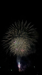 🎆