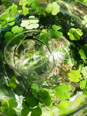 🍀
