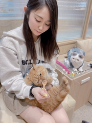 猫カフェ😼