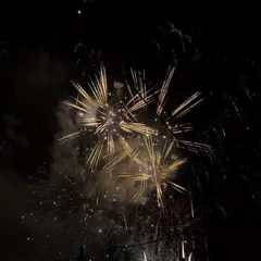 はすのの日記 20240805