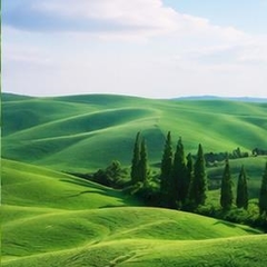 🍀