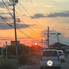 綺麗🌇