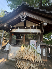 大根の神社！？⛩