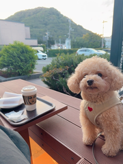 4連勤してました🤗