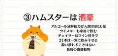 意外な豆知識