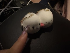 ✨