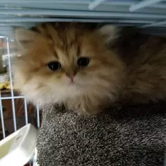 雨だ~( ;∀;)