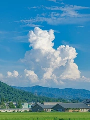 夏が待ち遠しい〜っ🌻