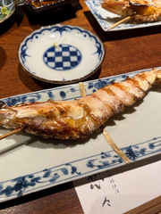 🦐