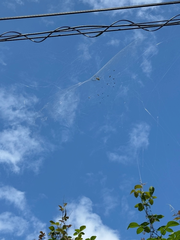 ☁️❗️