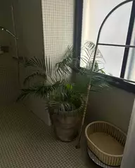 はるの日記 20241210-2
