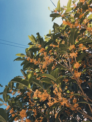 ２０２６．０９．１５🍂⟡.·*.