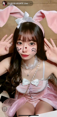 🐰