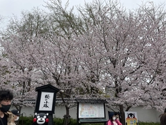 美月 🌷
