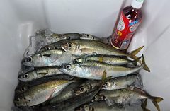 ★酔いまくった★