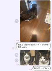 虫NG