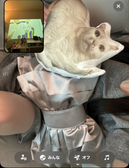 出勤