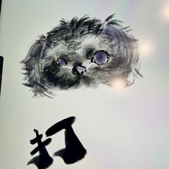 今週も