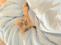 病院へ🏥🐶🐱