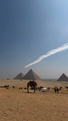 エジプトから帰ってきたー‼️🇪🇬