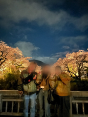 ごめんなさい、。