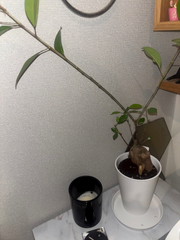 辛いにーを足すと幸せ
