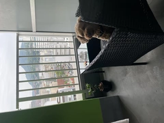 週末だ。