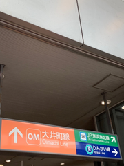 良い天気な日曜日