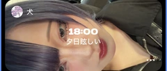 セットログ