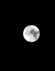 🌝