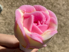 どこにでもある名物ってあるよね