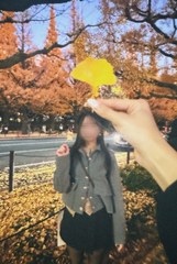 🍁🍂