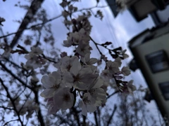 4月3日( ғʀɪ )