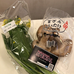 本日のオススメ食材🌼*･