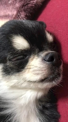 1月終わっちゃう！
