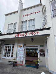 アイス🍨
