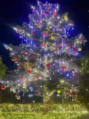 岩影 えいみの日記 20260113