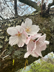 4月スタート🧡