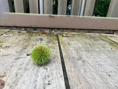 華金～(^^)/