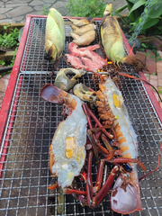 夏の思い出