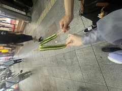 ♡2026.7.25 ♡ 異世界⭐️