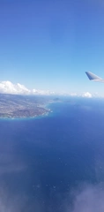 🌴今月のシフト🌴