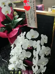 お疲れ様です