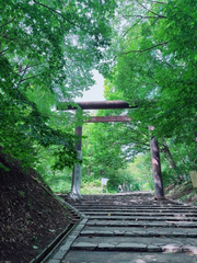 北海道神宮⛩️