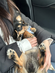 実は