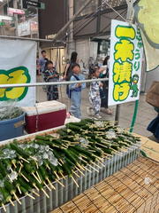 きゅうり🥒