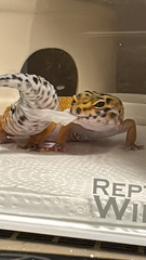 金曜日～✋