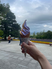 富良野！