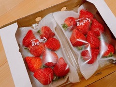 いちごさん🍓💕
