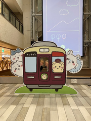 お久しぶりです！😂